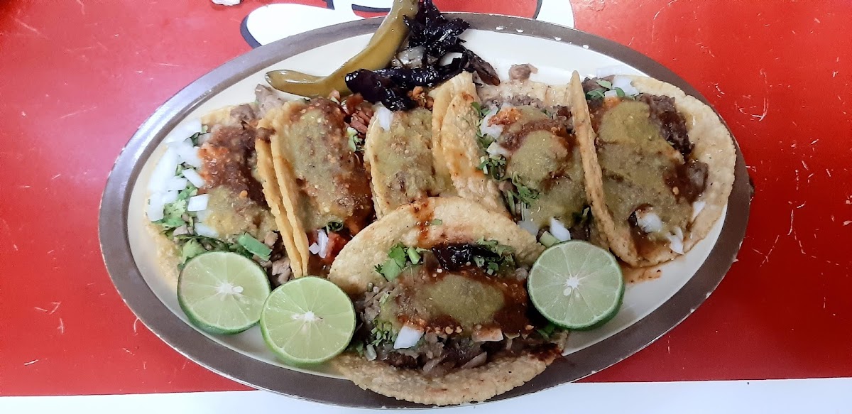 Tacos San Antonio-5